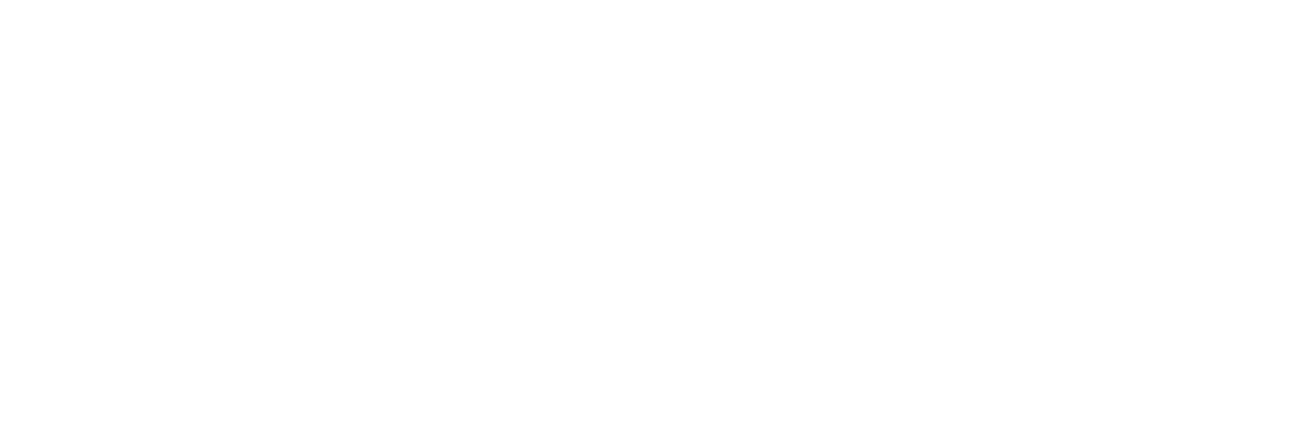 Phenom 300 logo